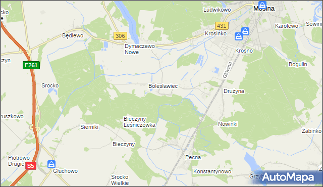 mapa Borkowice gmina Mosina, Borkowice gmina Mosina na mapie Targeo