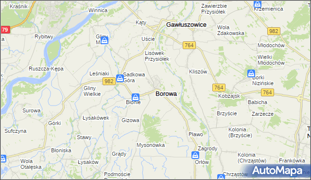 mapa Borowa powiat mielecki, Borowa powiat mielecki na mapie Targeo