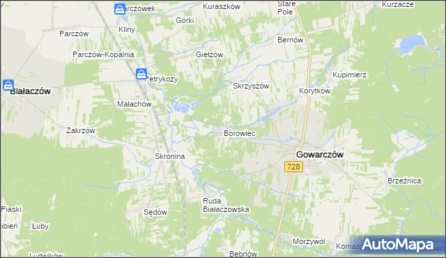 mapa Borowiec gmina Gowarczów, Borowiec gmina Gowarczów na mapie Targeo