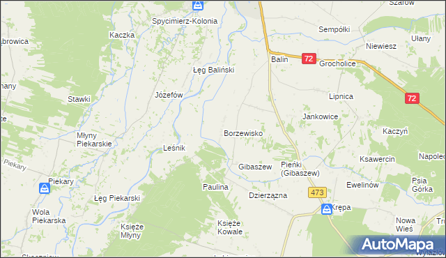 mapa Borzewisko gmina Poddębice, Borzewisko gmina Poddębice na mapie Targeo