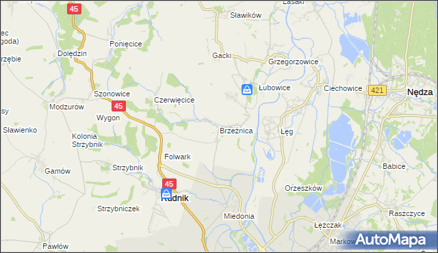 mapa Brzeźnica gmina Rudnik, Brzeźnica gmina Rudnik na mapie Targeo