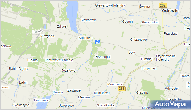 mapa Brzozogaj gmina Ostrowite, Brzozogaj gmina Ostrowite na mapie Targeo