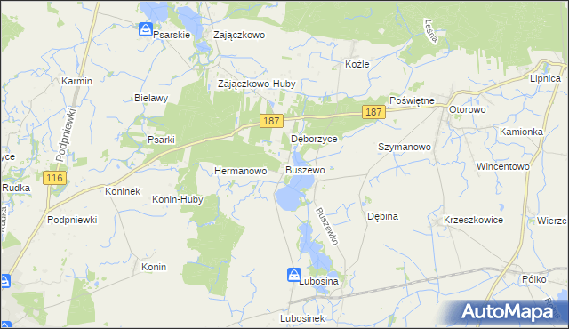 mapa Buszewo gmina Pniewy, Buszewo gmina Pniewy na mapie Targeo