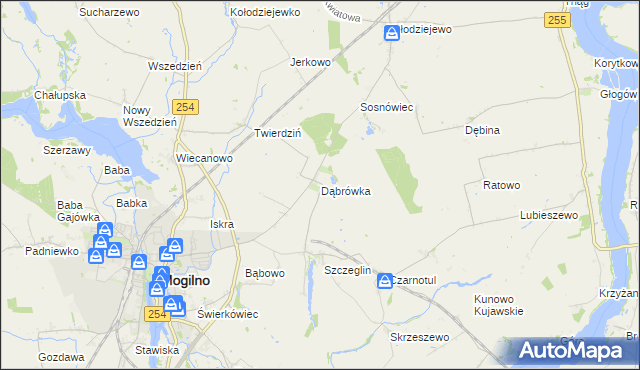 mapa Dąbrówka gmina Mogilno, Dąbrówka gmina Mogilno na mapie Targeo