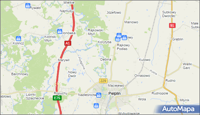 mapa Dębina gmina Pelplin, Dębina gmina Pelplin na mapie Targeo