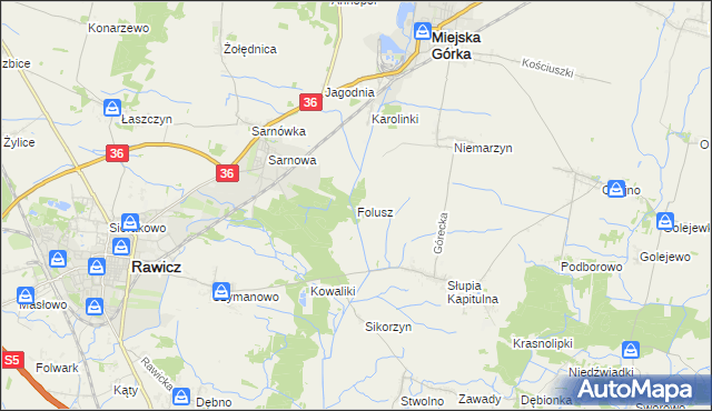 mapa Folusz gmina Rawicz, Folusz gmina Rawicz na mapie Targeo