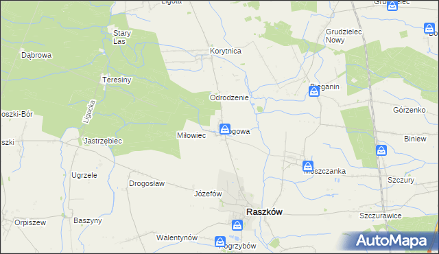 mapa Głogowa gmina Raszków, Głogowa gmina Raszków na mapie Targeo