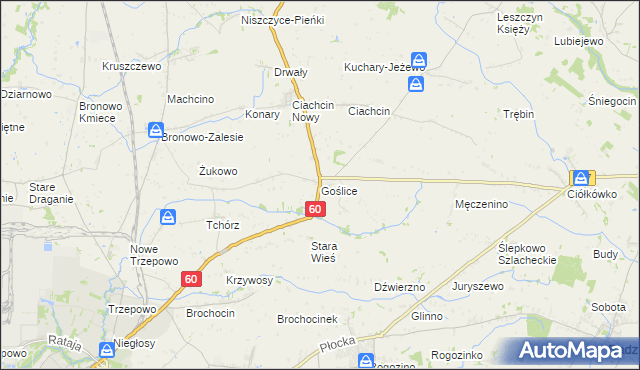 mapa Goślice, Goślice na mapie Targeo