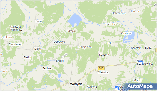 mapa Kamieniec gmina Wodynie, Kamieniec gmina Wodynie na mapie Targeo