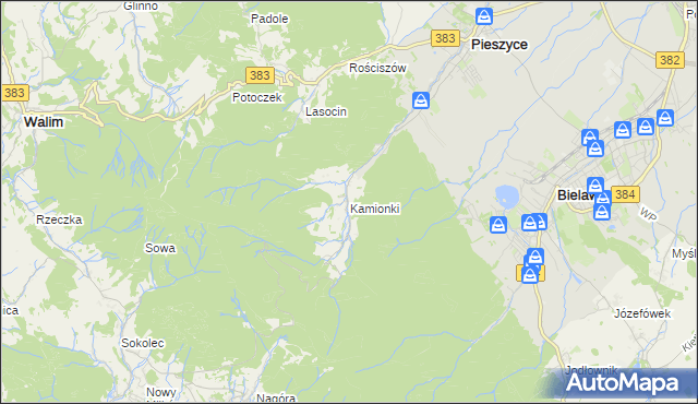 mapa Kamionki gmina Pieszyce, Kamionki gmina Pieszyce na mapie Targeo