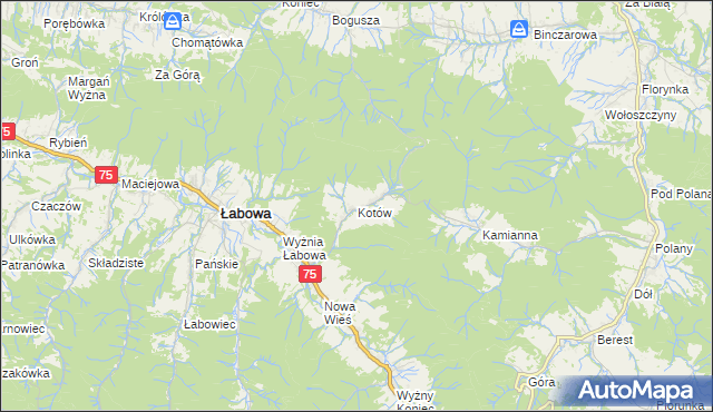 mapa Kotów gmina Łabowa, Kotów gmina Łabowa na mapie Targeo