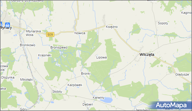 mapa Lipowa gmina Wilczęta, Lipowa gmina Wilczęta na mapie Targeo