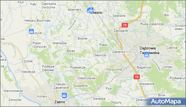 mapa Oleśnica gmina Olesno, Oleśnica gmina Olesno na mapie Targeo