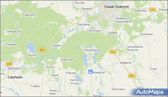 mapa Paliwodzizna, Paliwodzizna na mapie Targeo