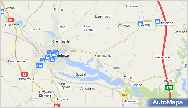 mapa Pluskowęsy gmina Chełmża, Pluskowęsy gmina Chełmża na mapie Targeo