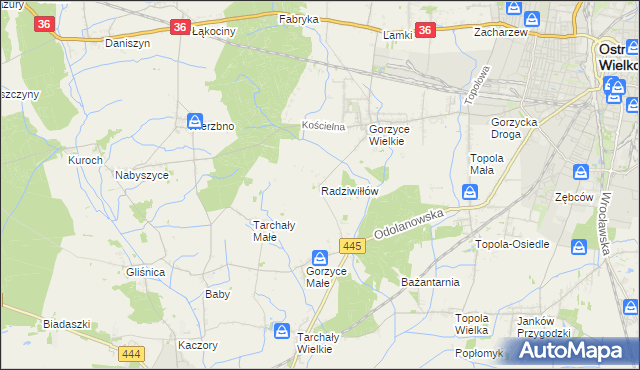mapa Radziwiłłów gmina Ostrów Wielkopolski, Radziwiłłów gmina Ostrów Wielkopolski na mapie Targeo