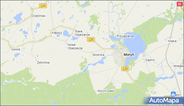 mapa Skotnica gmina Moryń, Skotnica gmina Moryń na mapie Targeo