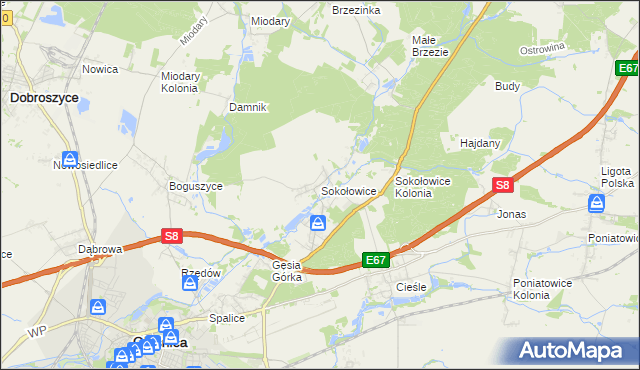 mapa Sokołowice gmina Oleśnica, Sokołowice gmina Oleśnica na mapie Targeo