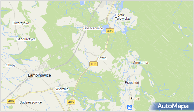 mapa Sowin gmina Łambinowice, Sowin gmina Łambinowice na mapie Targeo