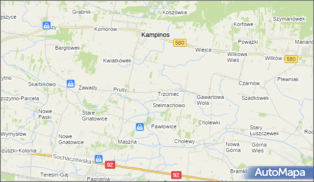 mapa Trzciniec gmina Leszno, Trzciniec gmina Leszno na mapie Targeo