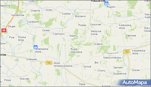 mapa Witoldów gmina Przytyk, Witoldów gmina Przytyk na mapie Targeo