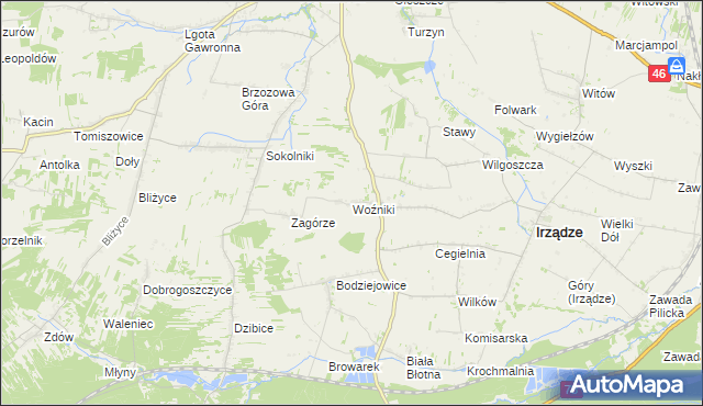 mapa Woźniki gmina Irządze, Woźniki gmina Irządze na mapie Targeo