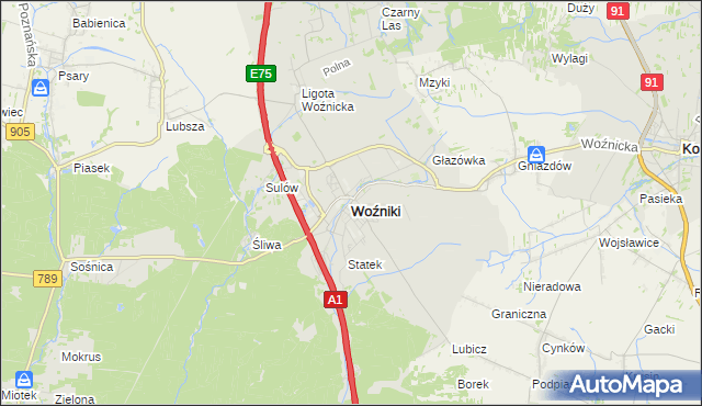 mapa Woźniki powiat lubliniecki, Woźniki powiat lubliniecki na mapie Targeo