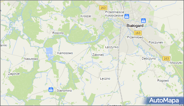 mapa Żabiniec gmina Białogard, Żabiniec gmina Białogard na mapie Targeo