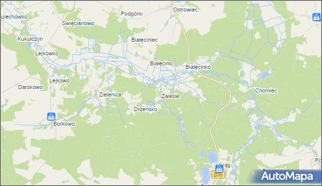 mapa Zalesie gmina Malechowo, Zalesie gmina Malechowo na mapie Targeo