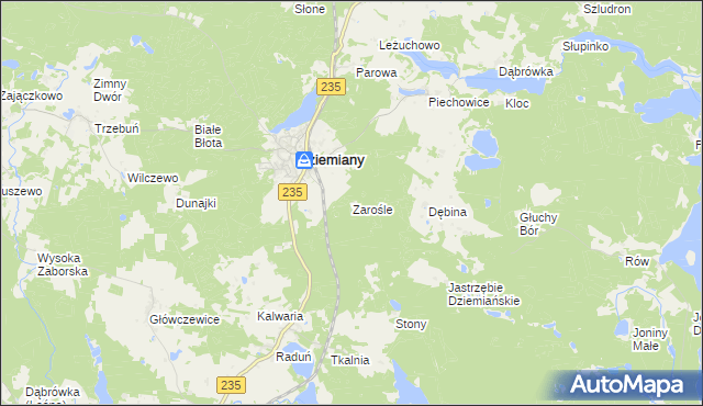 mapa Zarośle gmina Dziemiany, Zarośle gmina Dziemiany na mapie Targeo
