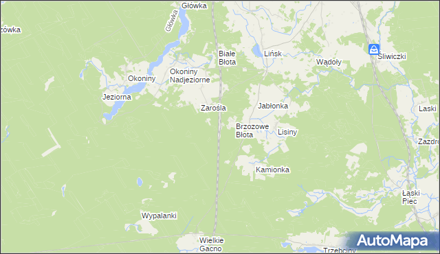 mapa Zarośle gmina Śliwice, Zarośle gmina Śliwice na mapie Targeo