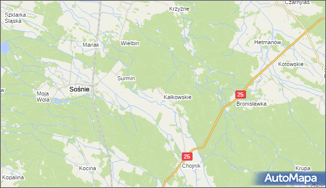 mapa Kałkowskie, Kałkowskie na mapie Targeo