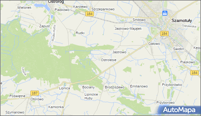 mapa Ostrolesie, Ostrolesie na mapie Targeo