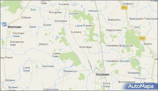 mapa Antoniewo gmina Gozdowo, Antoniewo gmina Gozdowo na mapie Targeo