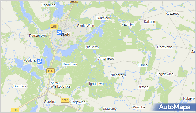 mapa Antoniewo gmina Skoki, Antoniewo gmina Skoki na mapie Targeo