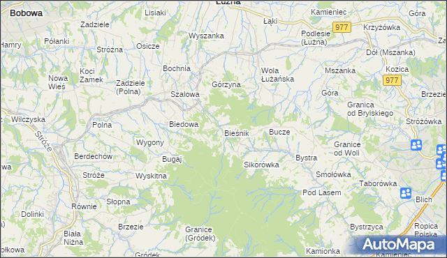 mapa Bieśnik gmina Łużna, Bieśnik gmina Łużna na mapie Targeo
