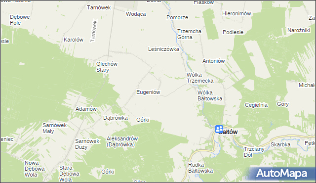mapa Borcuchy gmina Bałtów, Borcuchy gmina Bałtów na mapie Targeo