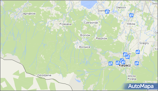 mapa Borowice gmina Podgórzyn, Borowice gmina Podgórzyn na mapie Targeo