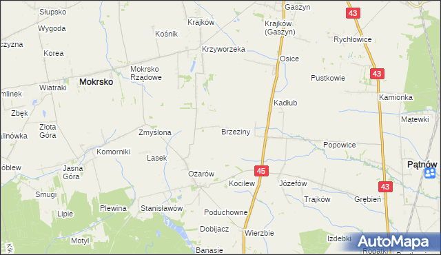 mapa Brzeziny gmina Mokrsko, Brzeziny gmina Mokrsko na mapie Targeo