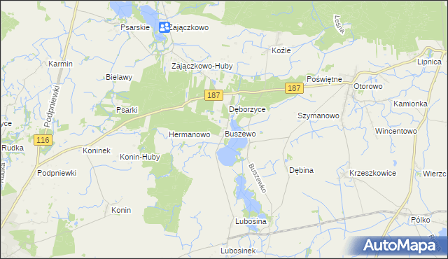 mapa Buszewo gmina Pniewy, Buszewo gmina Pniewy na mapie Targeo
