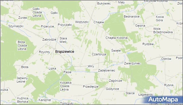 mapa Czartoryja gmina Brąszewice, Czartoryja gmina Brąszewice na mapie Targeo