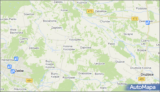 mapa Dąbrowa gmina Zelów, Dąbrowa gmina Zelów na mapie Targeo