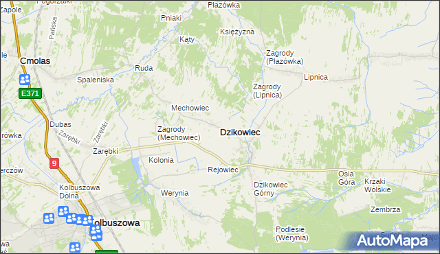 mapa Dzikowiec powiat kolbuszowski, Dzikowiec powiat kolbuszowski na mapie Targeo