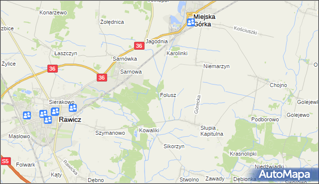 mapa Folusz gmina Rawicz, Folusz gmina Rawicz na mapie Targeo