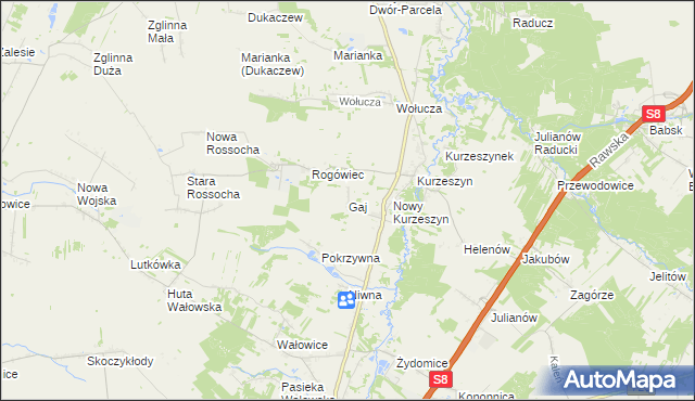 mapa Gaj gmina Rawa Mazowiecka, Gaj gmina Rawa Mazowiecka na mapie Targeo