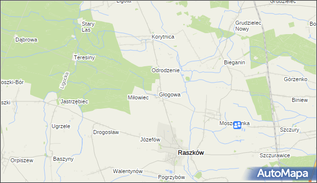 mapa Głogowa gmina Raszków, Głogowa gmina Raszków na mapie Targeo