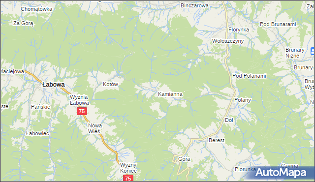 mapa Kamianna, Kamianna na mapie Targeo