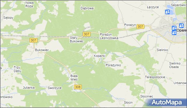 mapa Kopanki gmina Opalenica, Kopanki gmina Opalenica na mapie Targeo