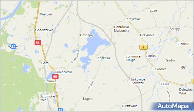 mapa Koślinka gmina Sztum, Koślinka gmina Sztum na mapie Targeo