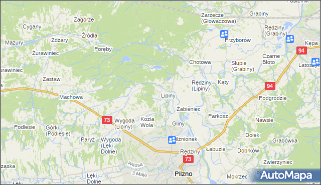 mapa Lipiny gmina Pilzno, Lipiny gmina Pilzno na mapie Targeo